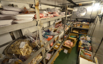 Does Your Restaurant Need a Walk-In Cooler Repair?